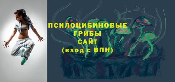 сатива Алексеевка
