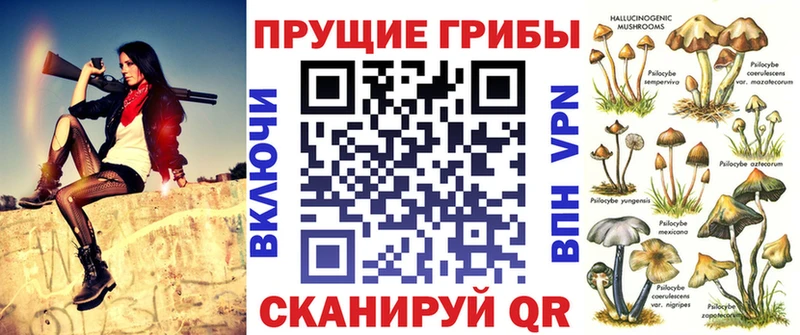Псилоцибиновые грибы Cubensis  даркнет сайт  Макушино 